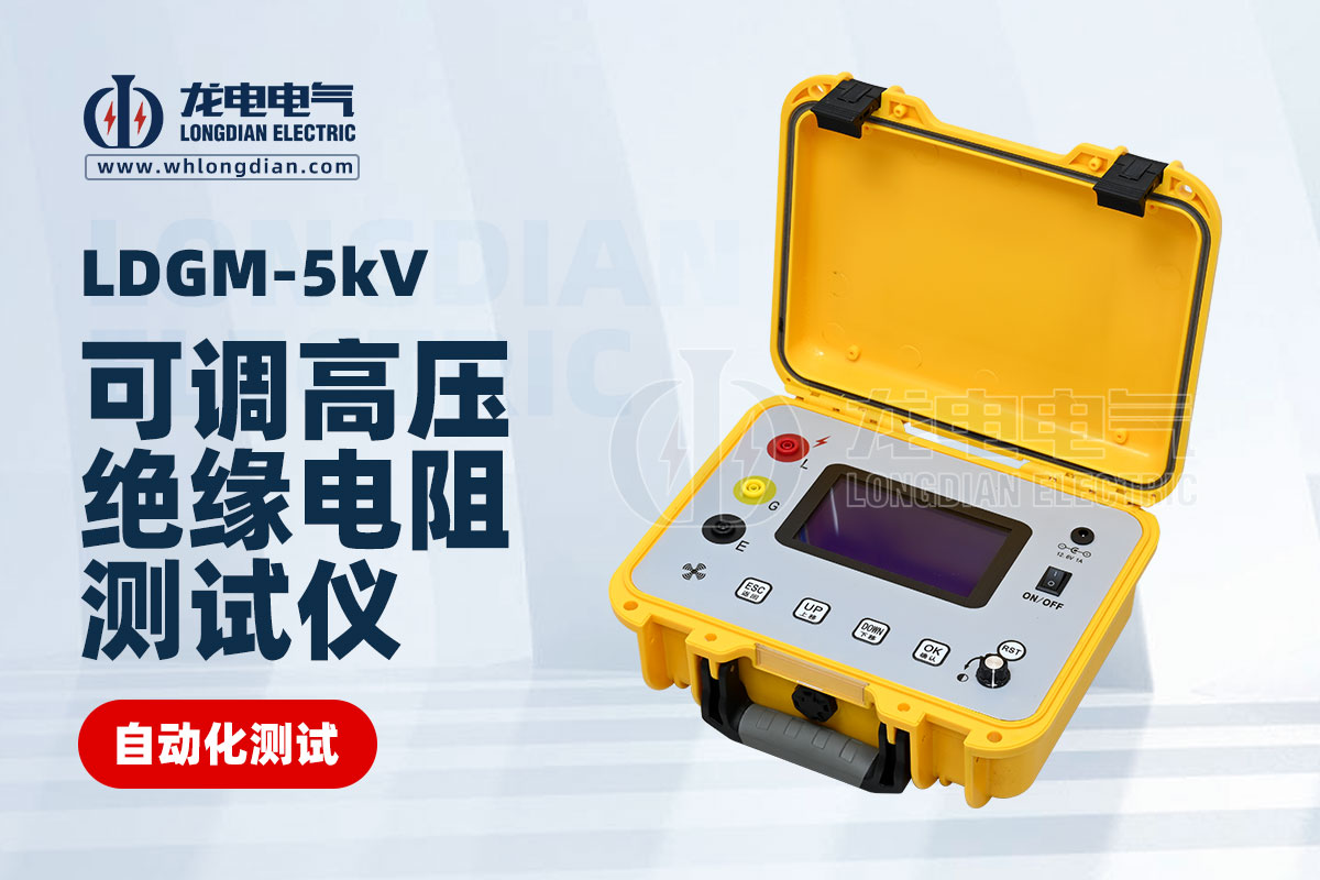 LDGM-5KV可调高压绝缘电阻测试仪