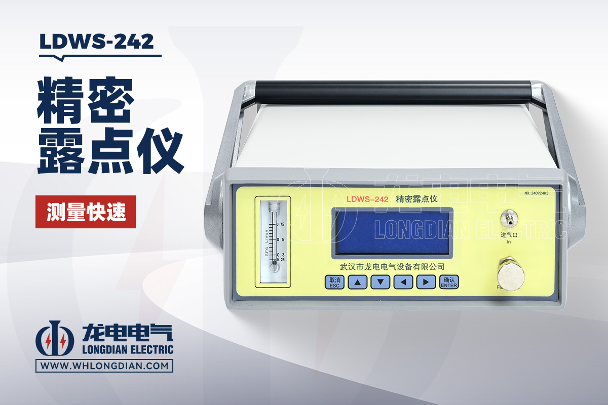 LDWS-242 精密露点仪